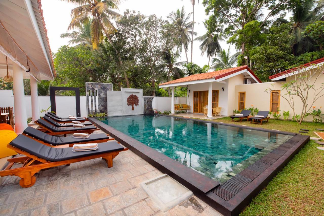 Tree Of Life Resort Bentota Kültér fotó