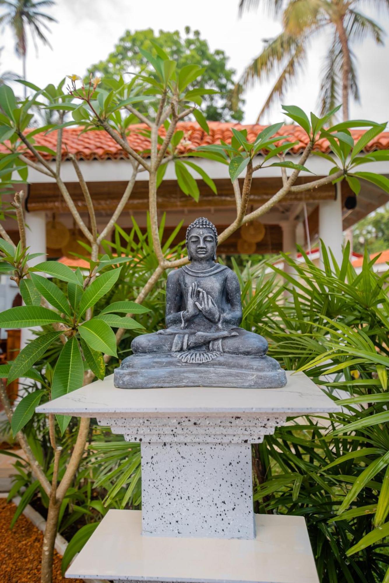 Tree Of Life Resort Bentota Kültér fotó